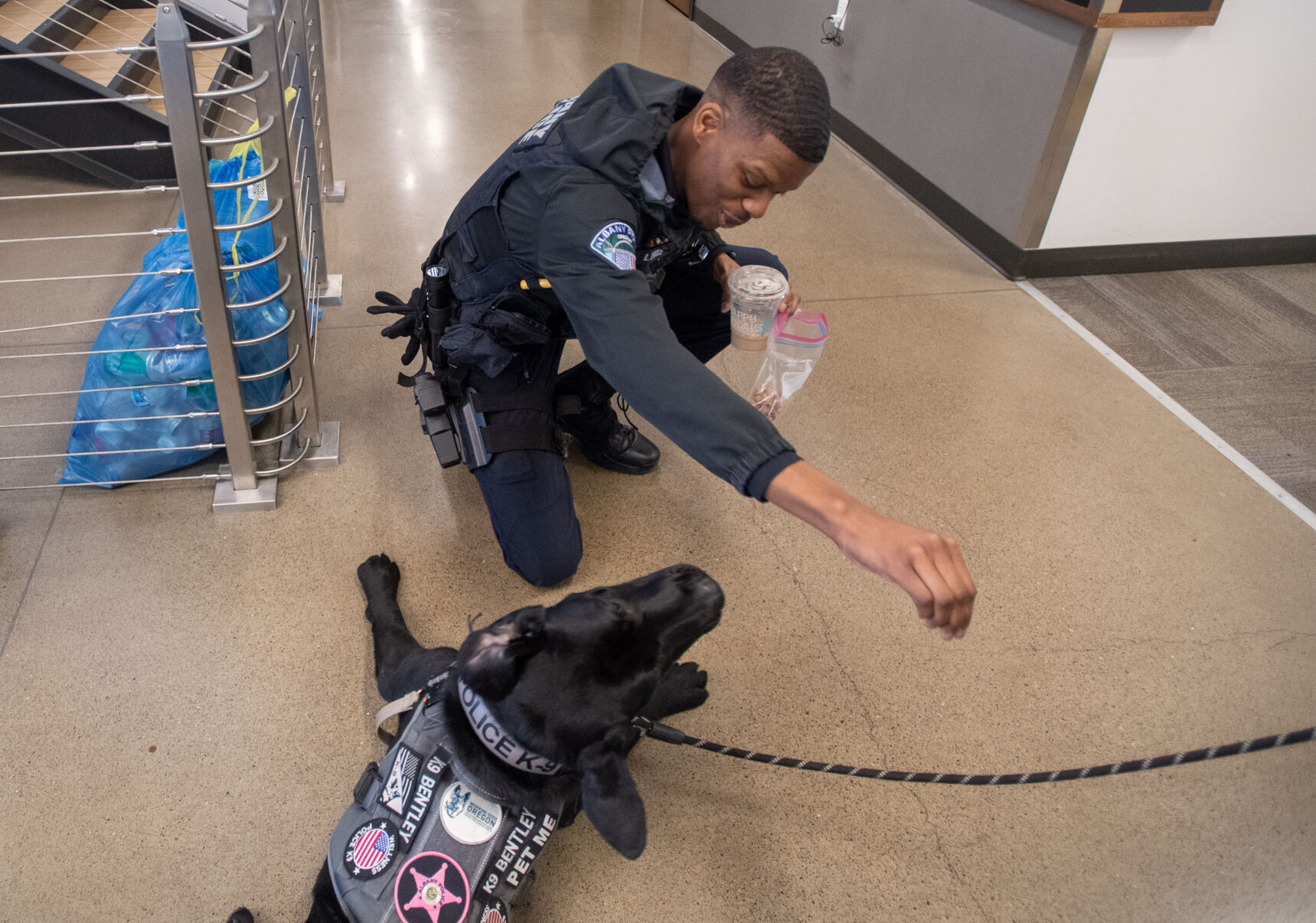 APD dog 03